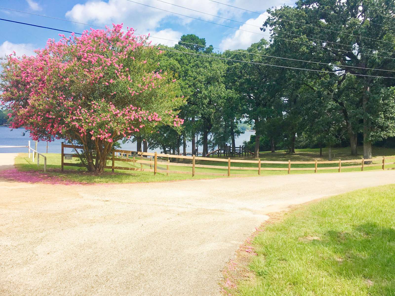The play area of the park.