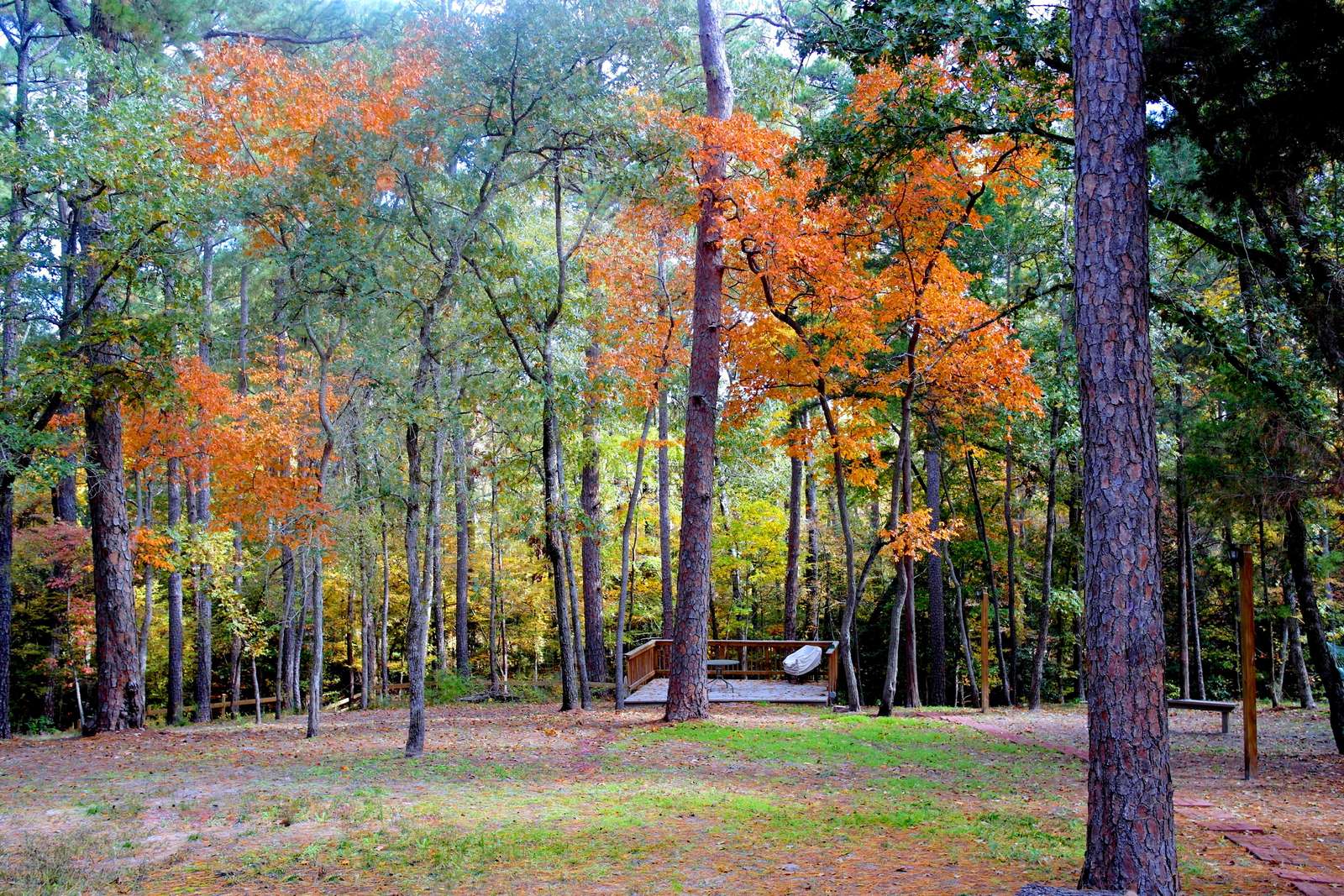 From the back deck towards the "Fern Garden Deck."