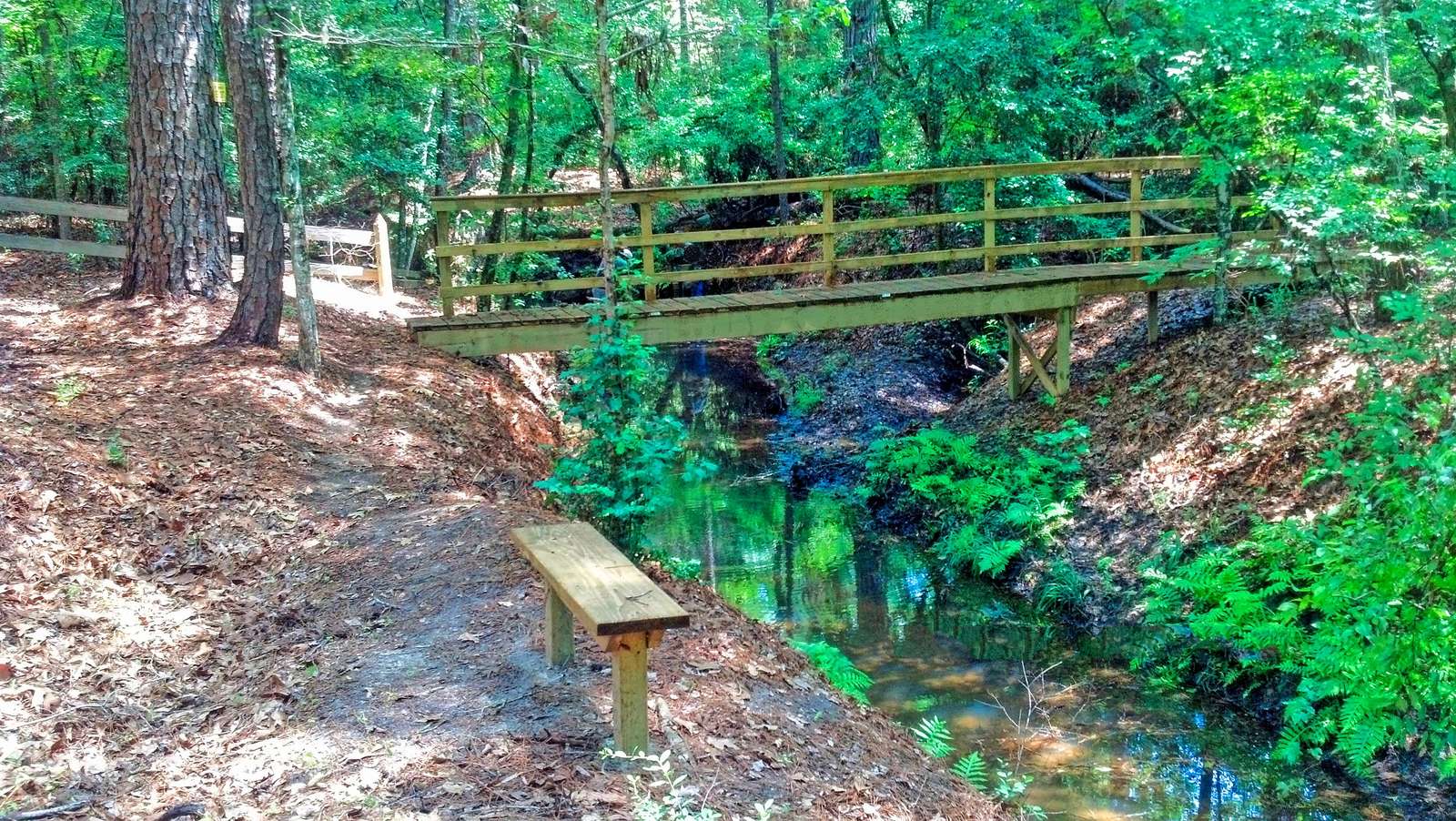 As we get down the hill to the creek we come upon the bridge. Cross it and take the dirt road right for a walk or left to get to the lake. Let's check out the lake