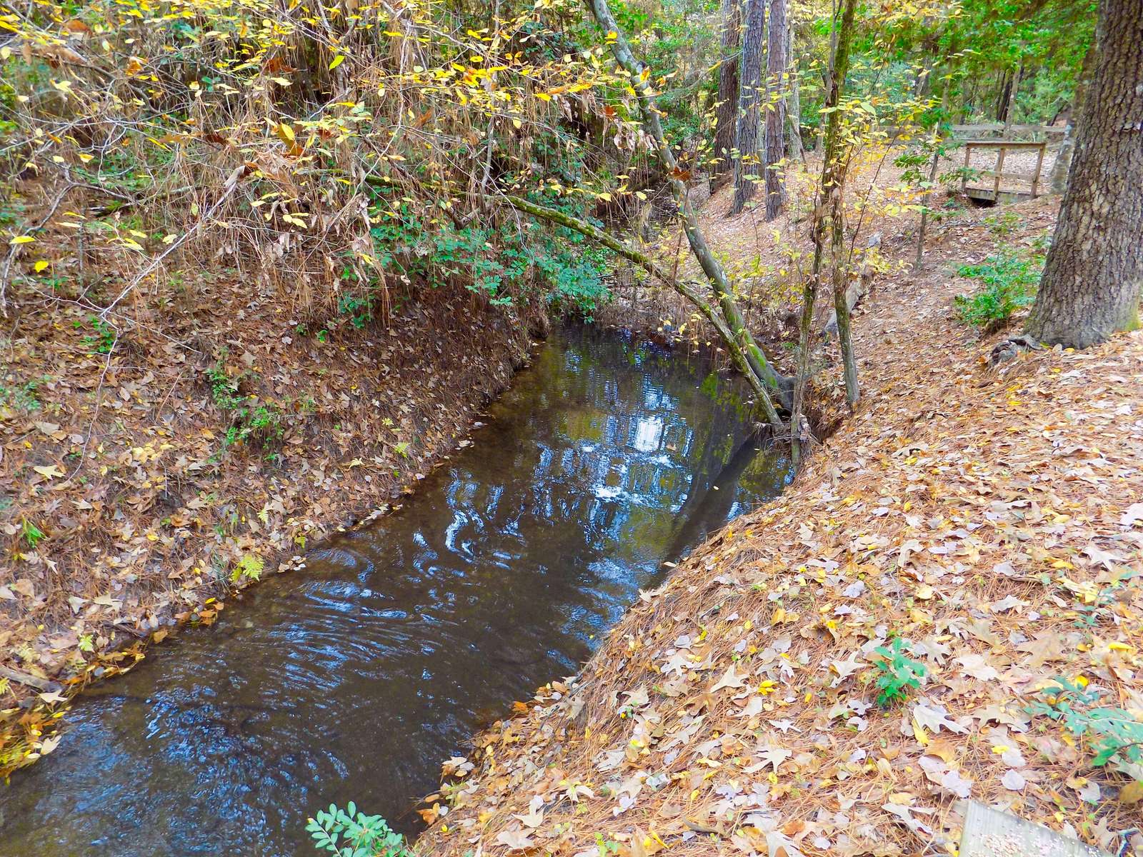 As mentioned, the spring is very consistent. I've never seen it close to dry.