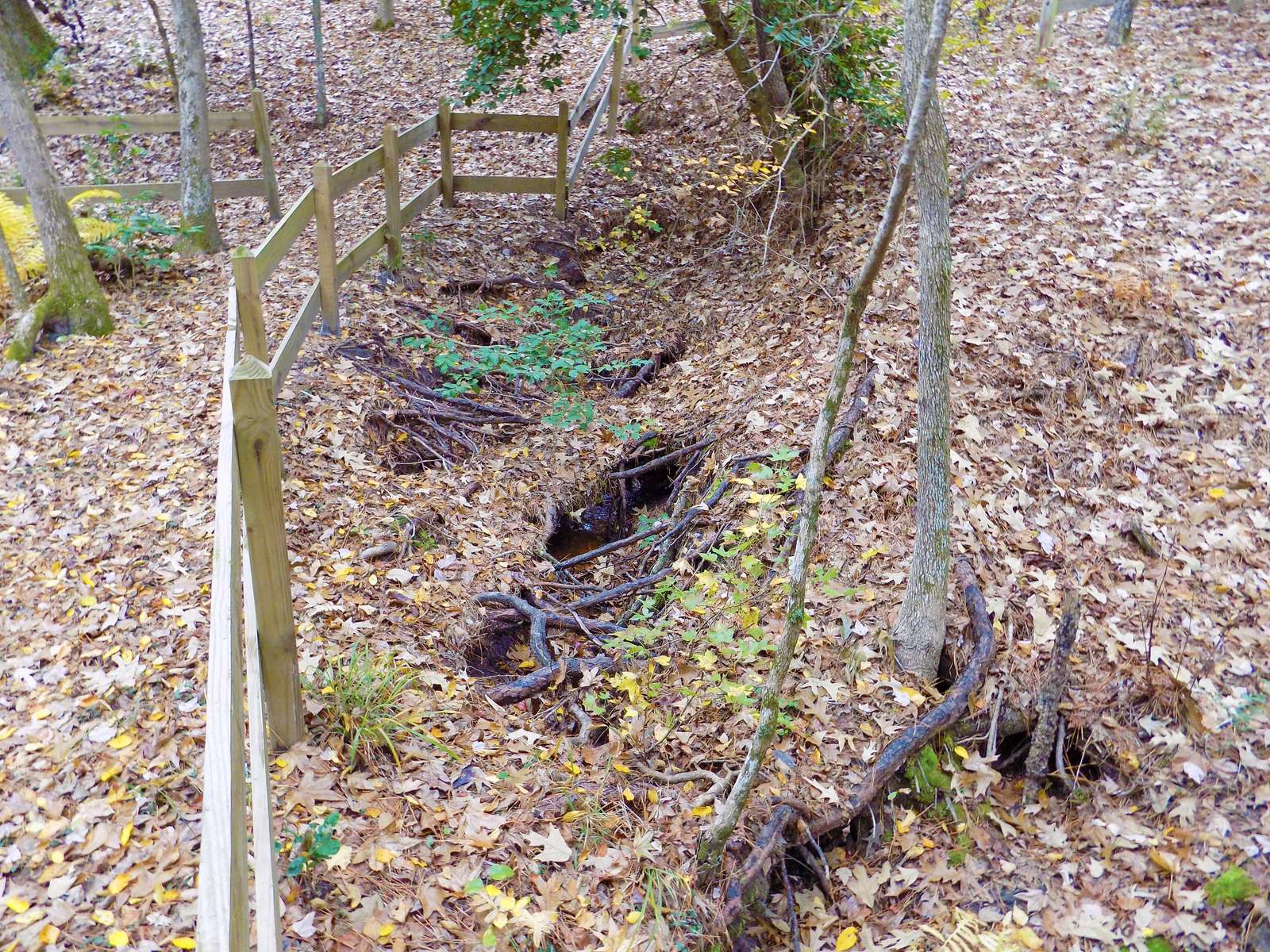 One of the first things you'll see is the erosion created by the spring. It's odd to see it disappear again into the ground.