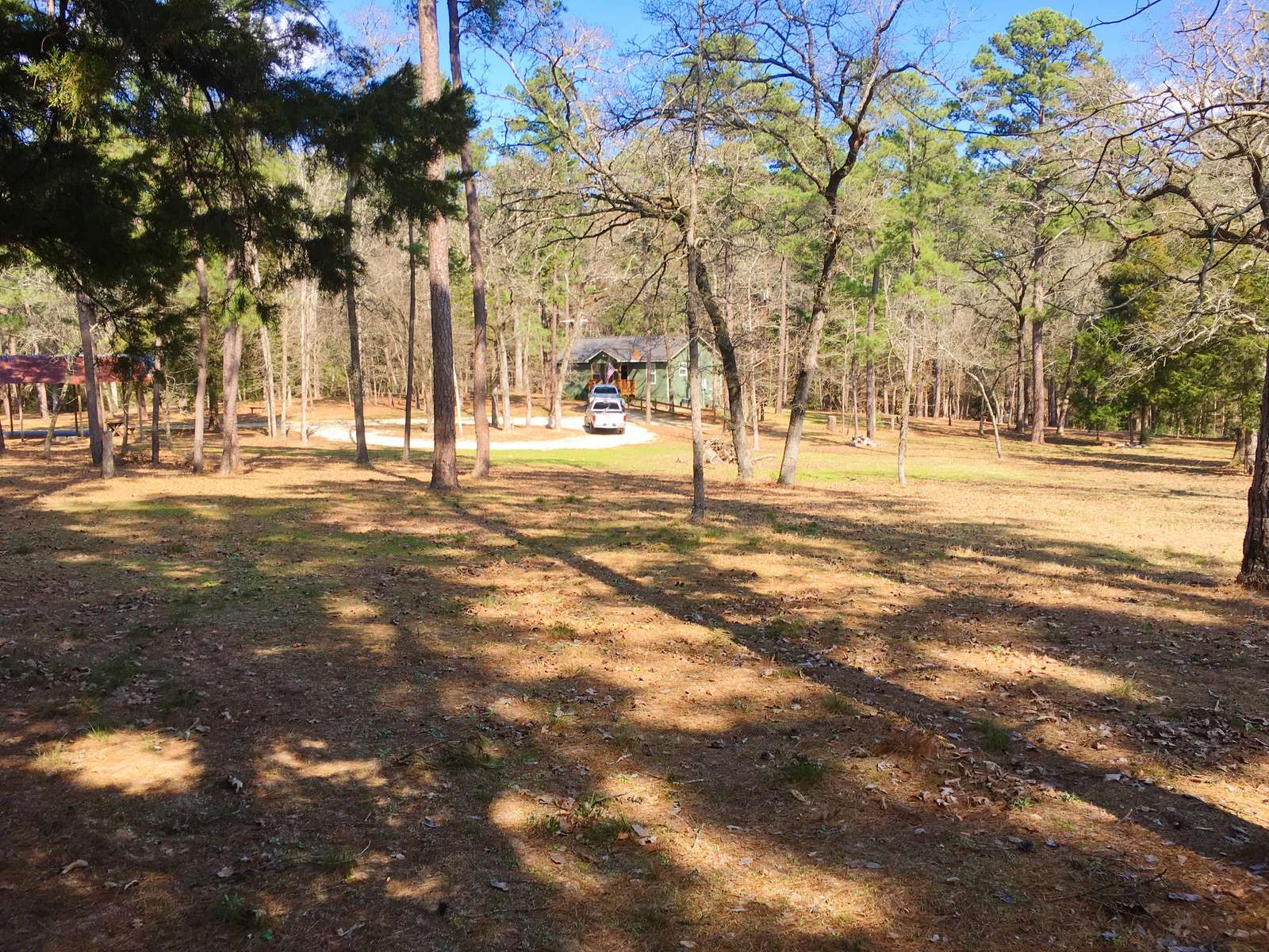 Looking back towards the front of Creekside from the woods in front.