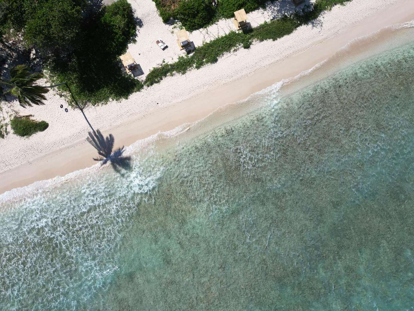 Secluded beachside escape with crystal-clear waters and swaying palms