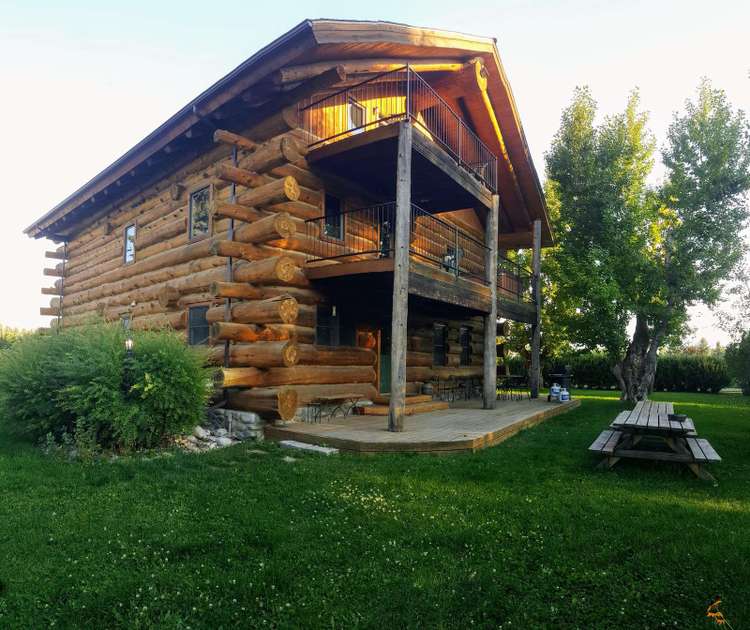 Lucky Dog Lodge Preview 0