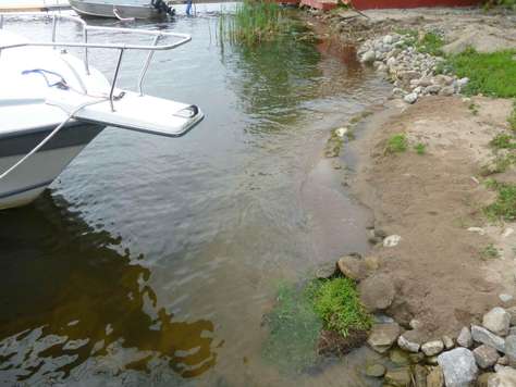 Sandy shoreline