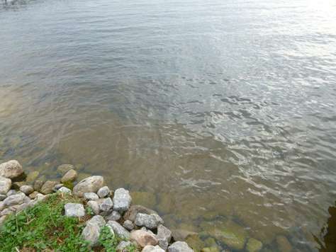 Sandy shoreline