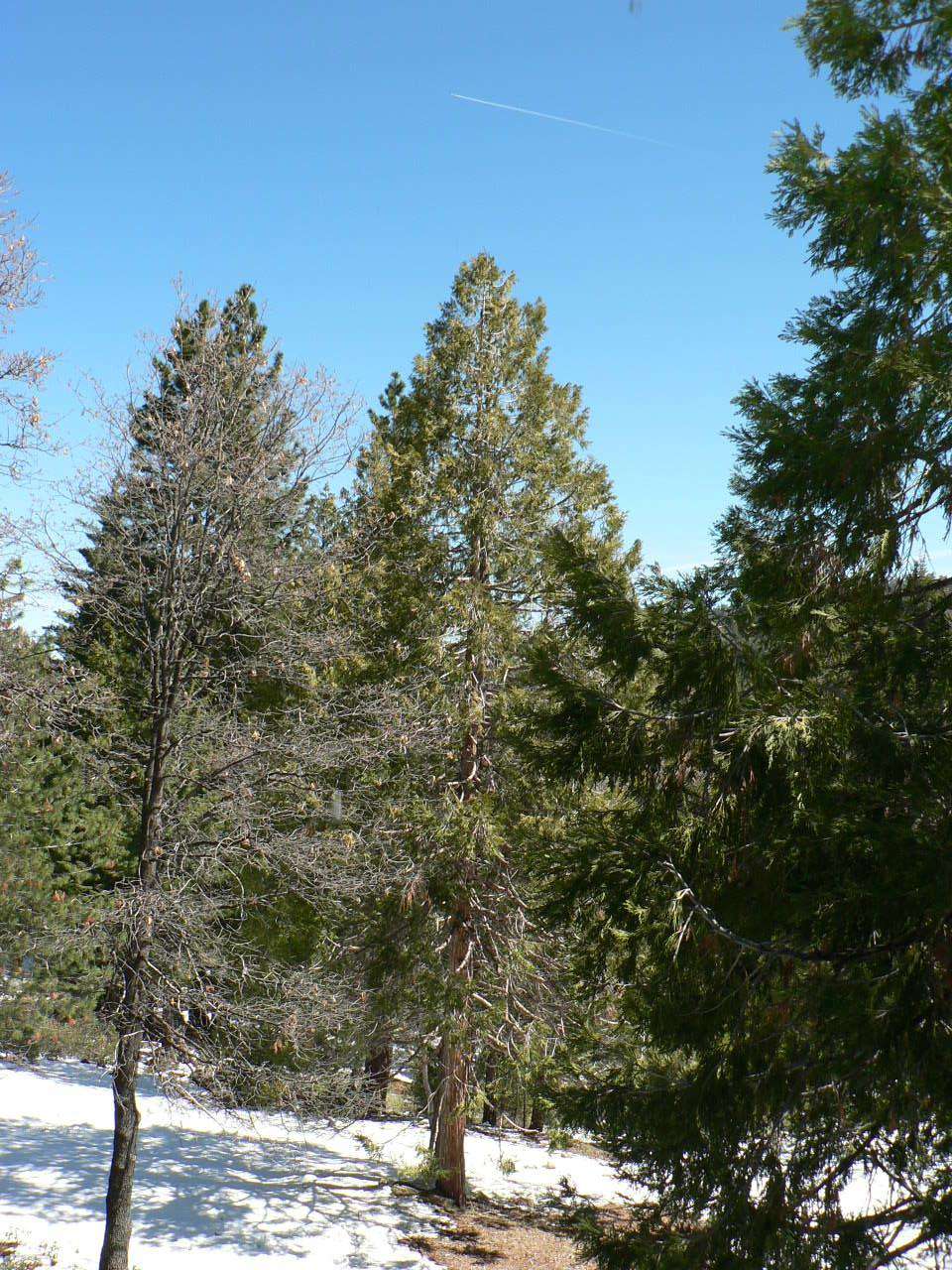 Winter View