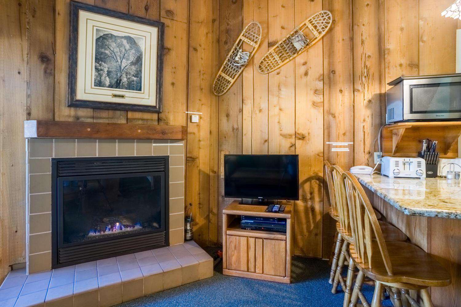 Fireplace, TV, DVD