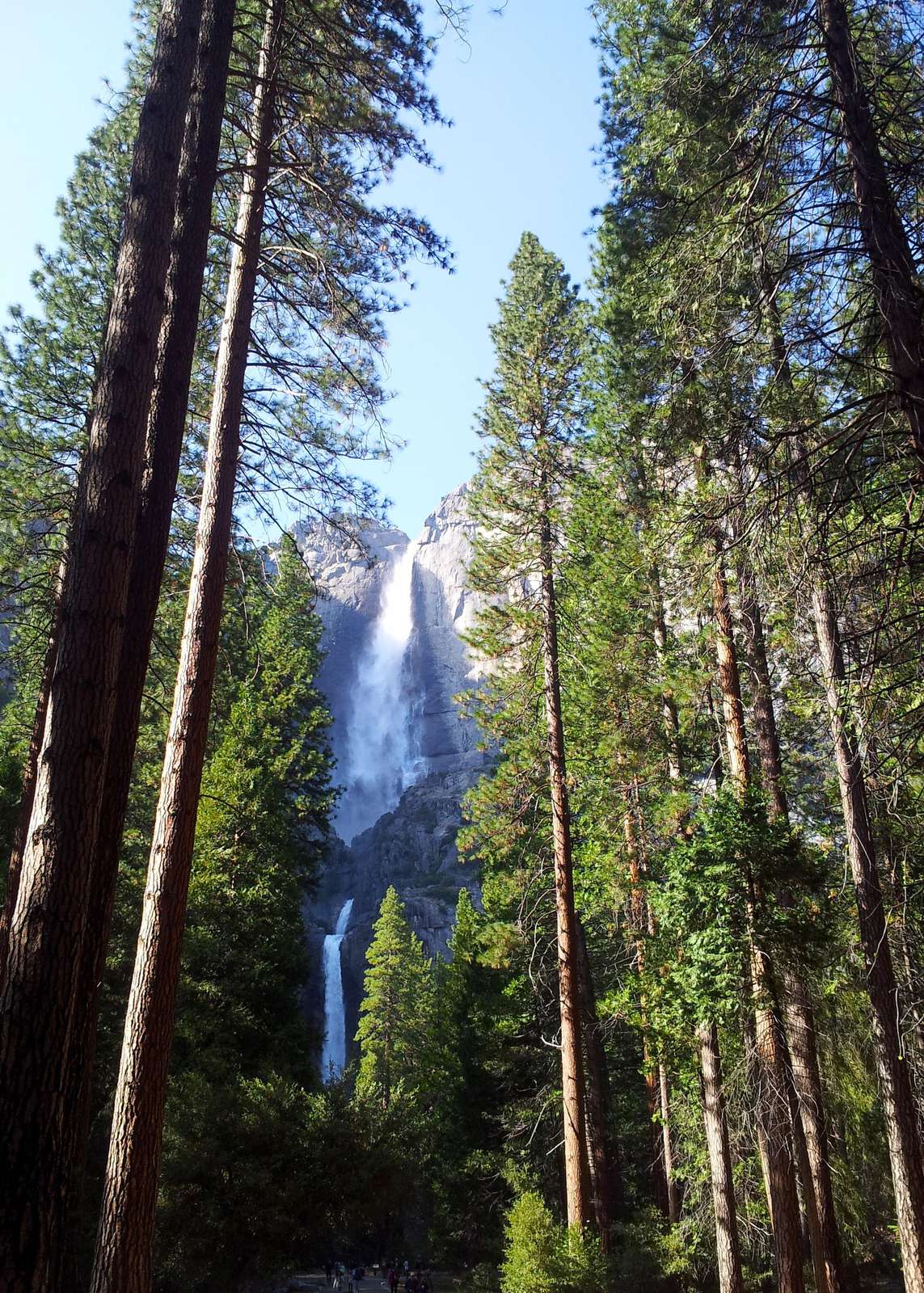 "Yosemite Falls"