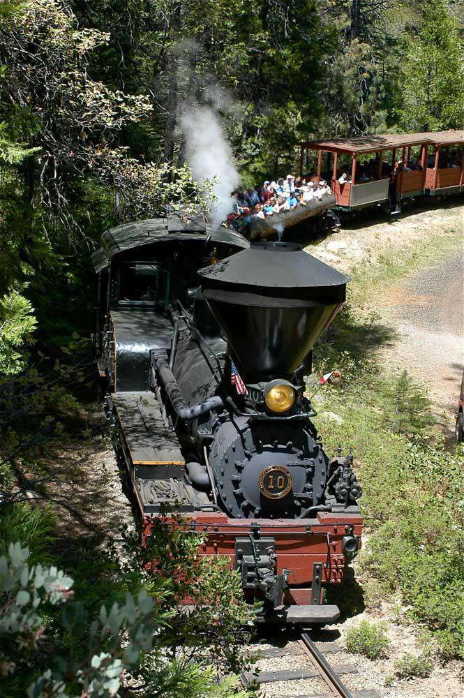 Ride the Sugar Pine Railroad (summer only)