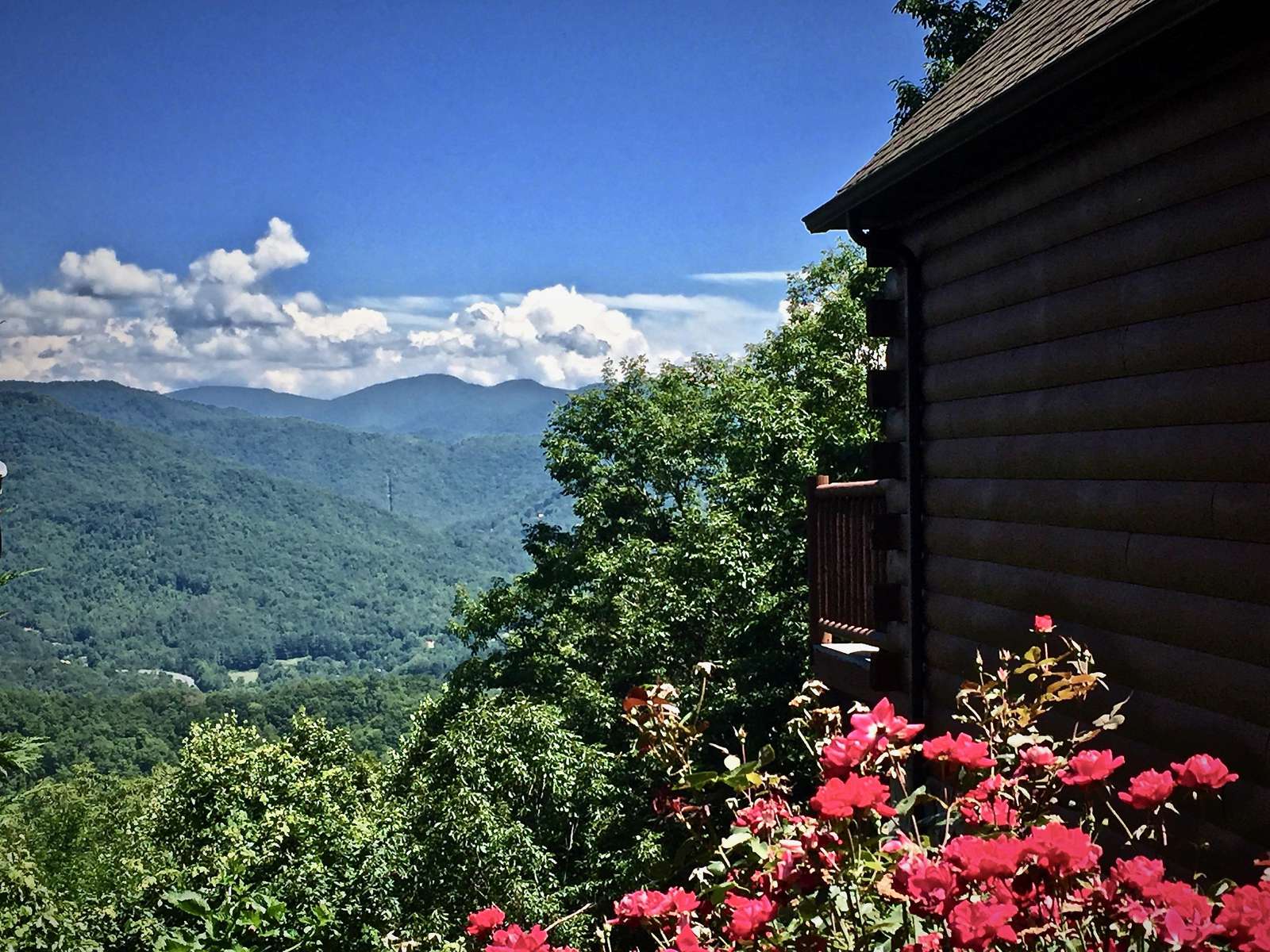 The Cabin is surrounded by Nature's Beauty