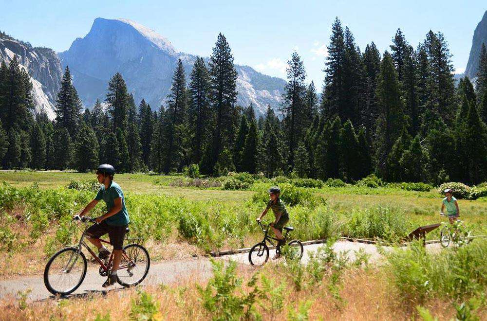 Ride your bike through Yosemite Valley.