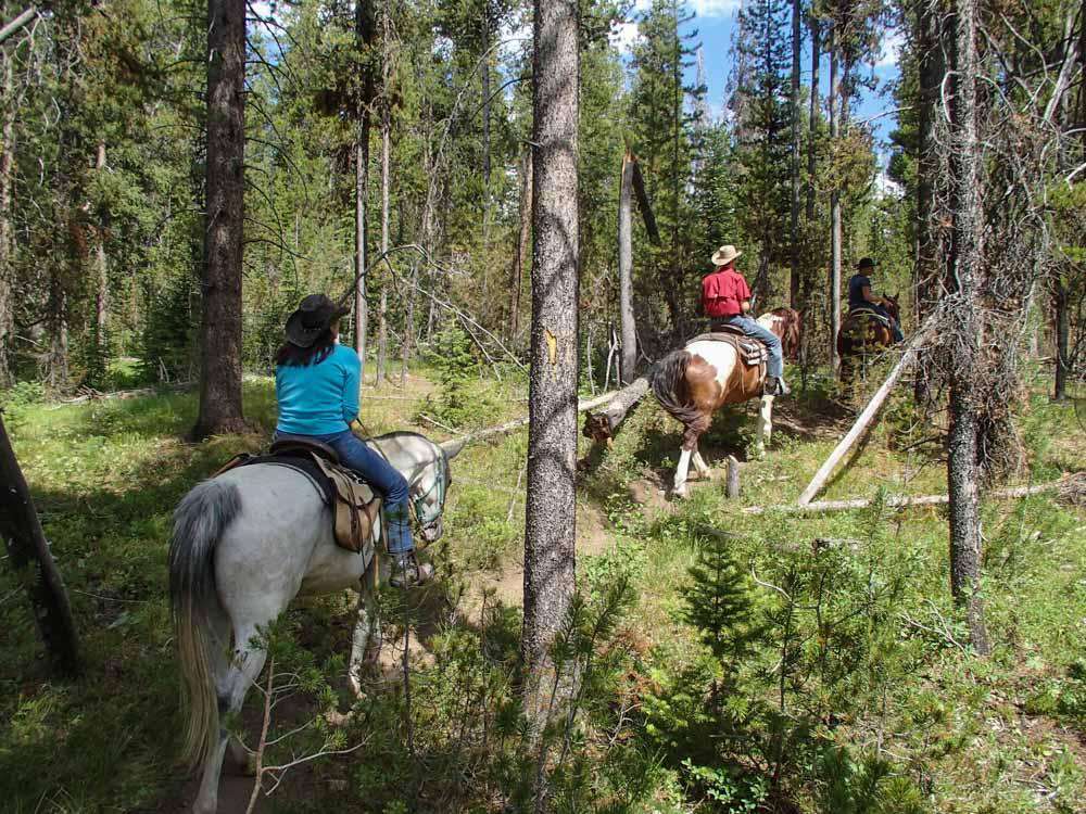 Rent a horse and ride through Yosemite Valley.