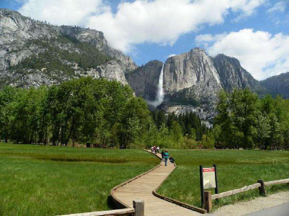 A pathway through the meadow in front of Yosemite Falls.