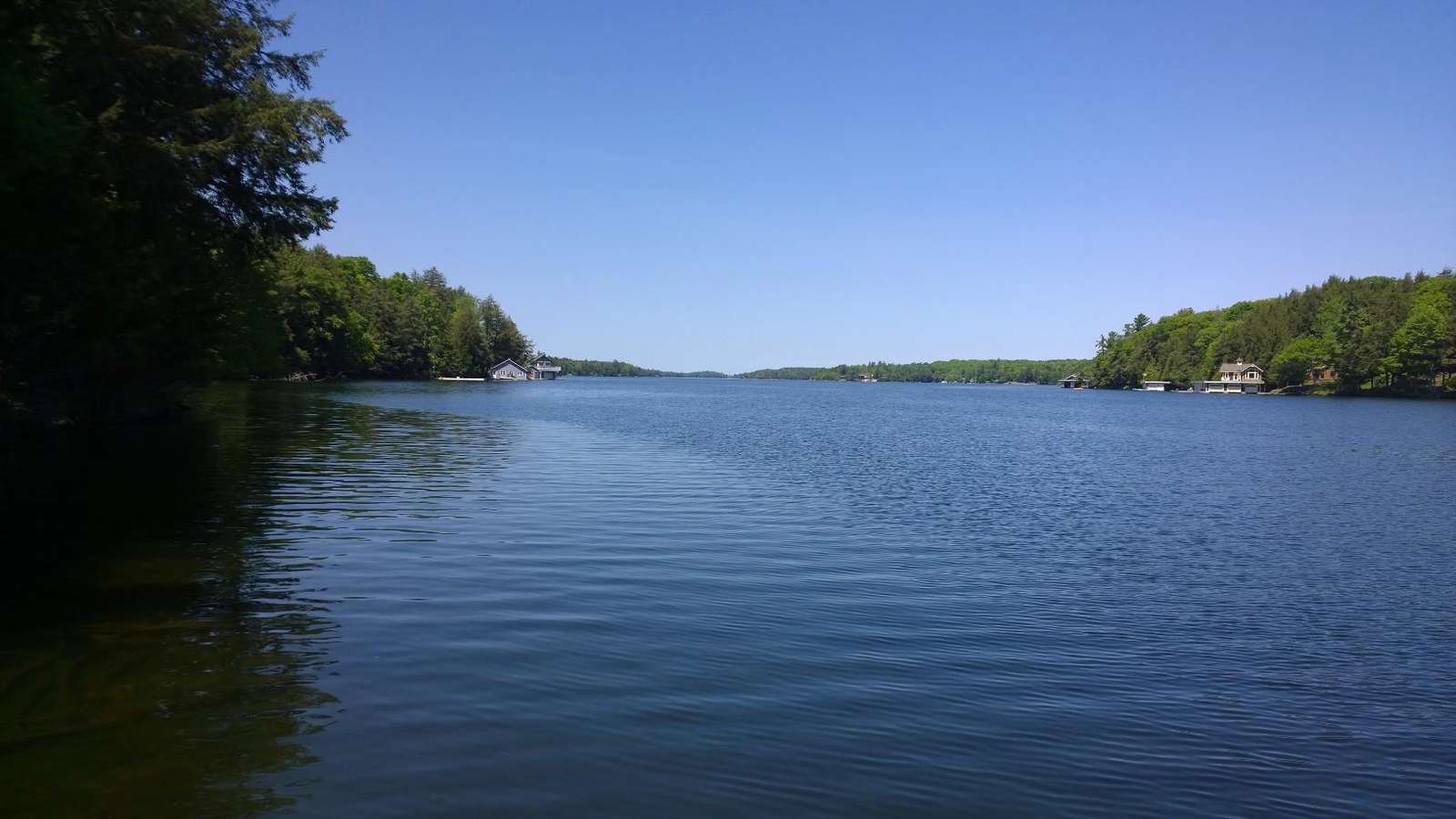 Shoreline