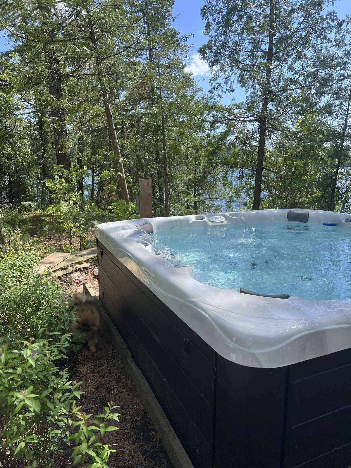 Hope Island Preview 1