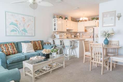 Living and Kitchen Area