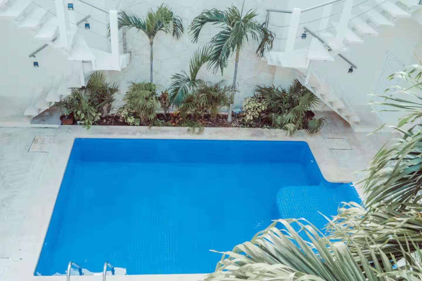 Estrella #03 Vista previa 3