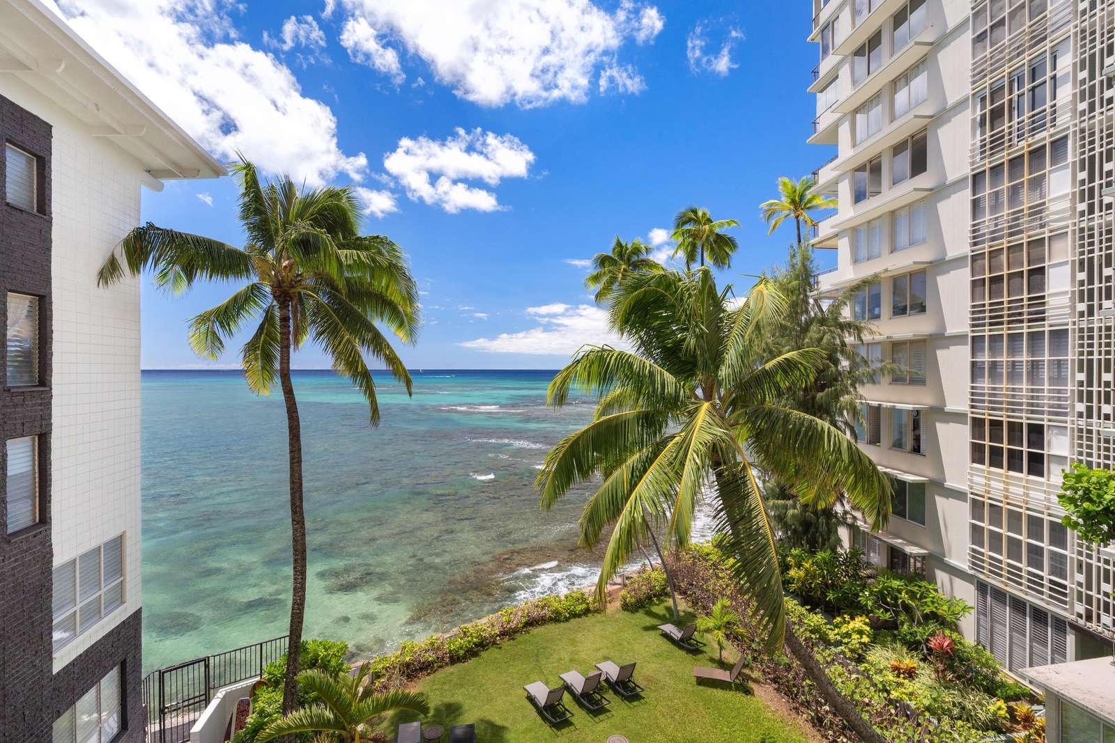 Oceanfront view from the balcony showcases clear blue waters, swaying palm trees, and a sunlit grassy lawn with lounge chairs.