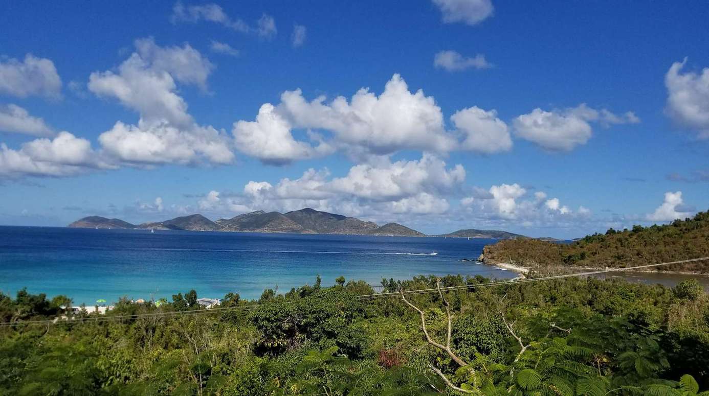 Breathtaking ocean views with lush greenery and clear skies