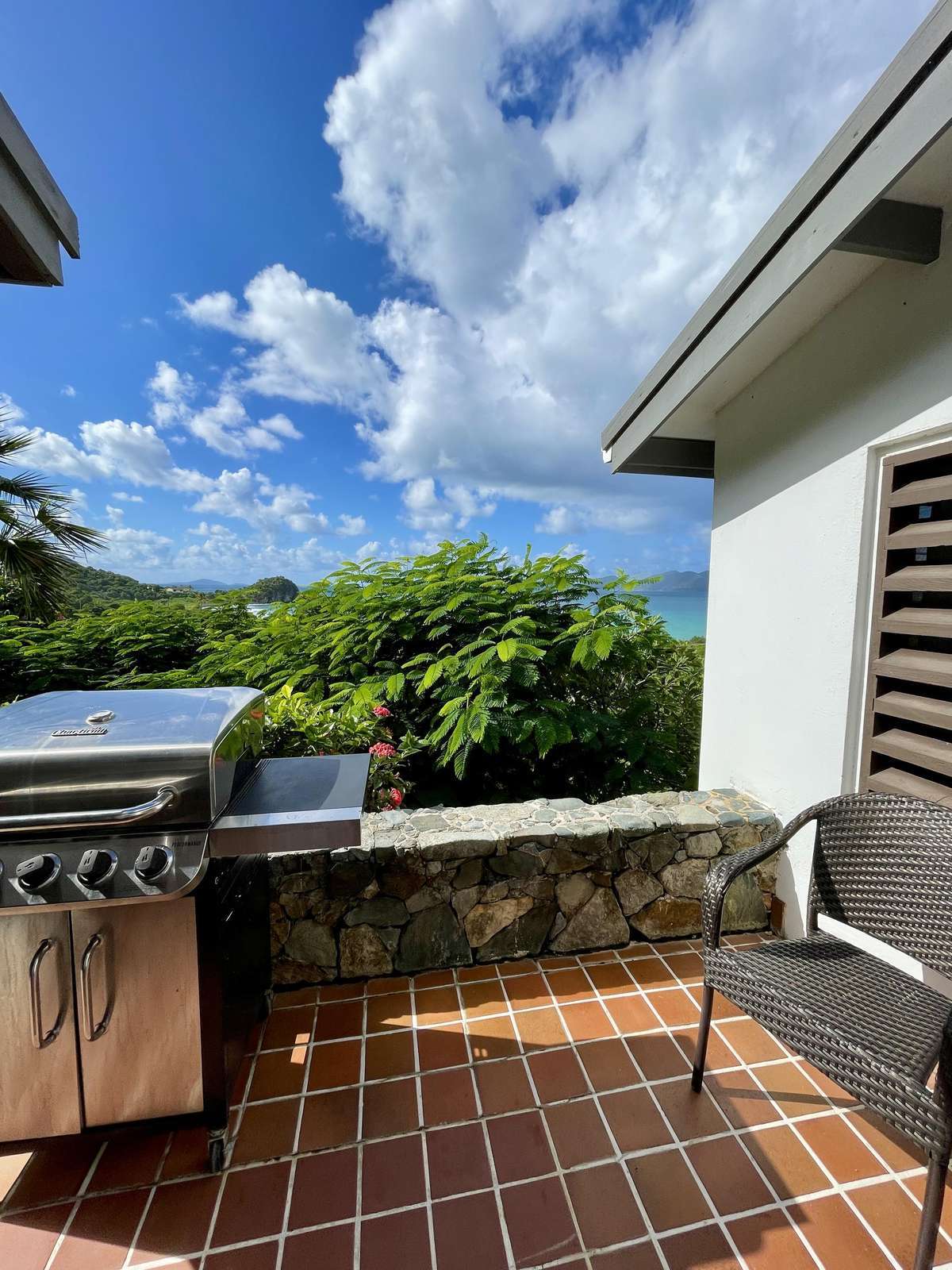 Sunny patio with grill and lush green views for relaxing outdoors