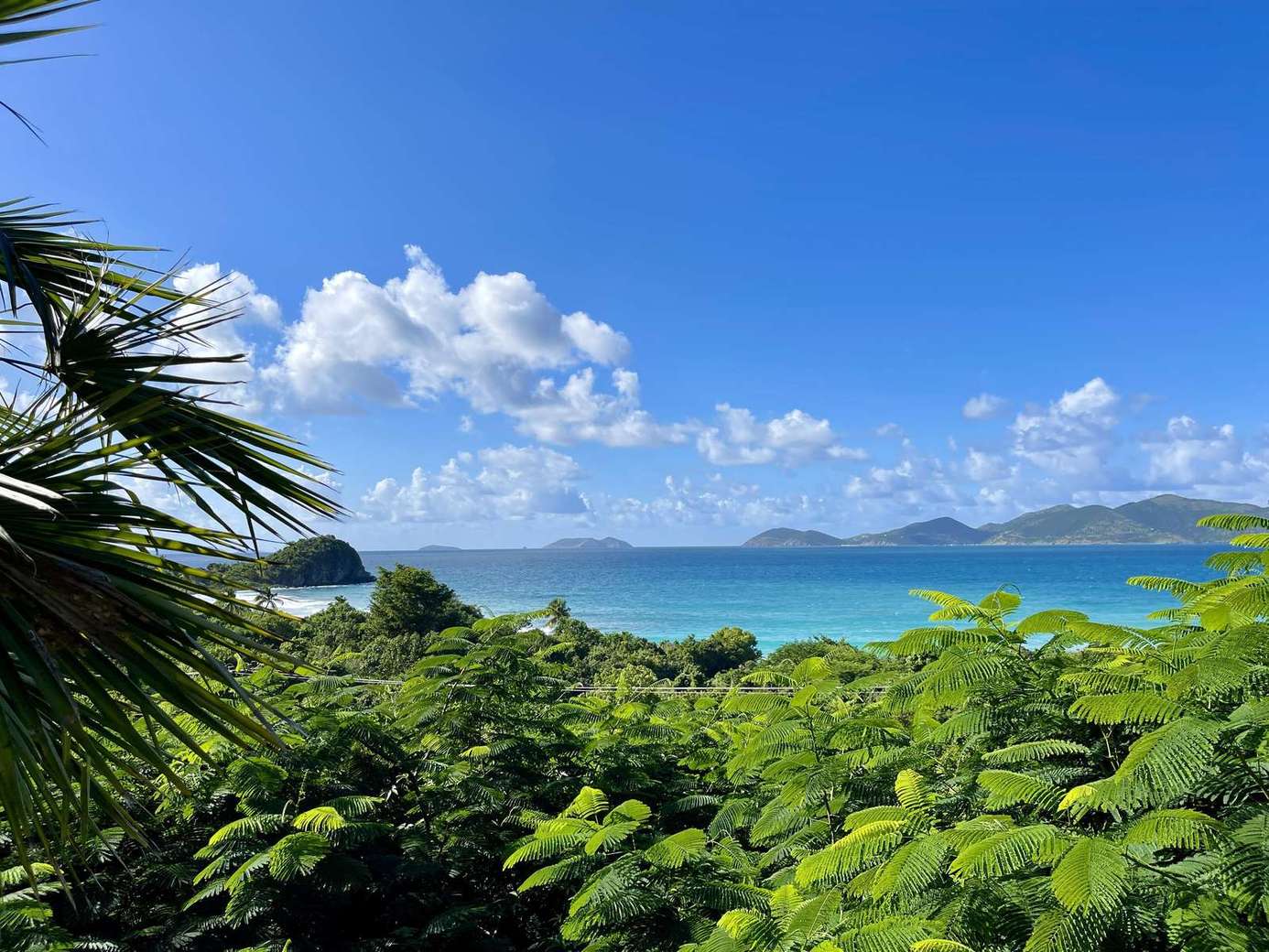 Breathtaking ocean view framed by lush tropical greenery
