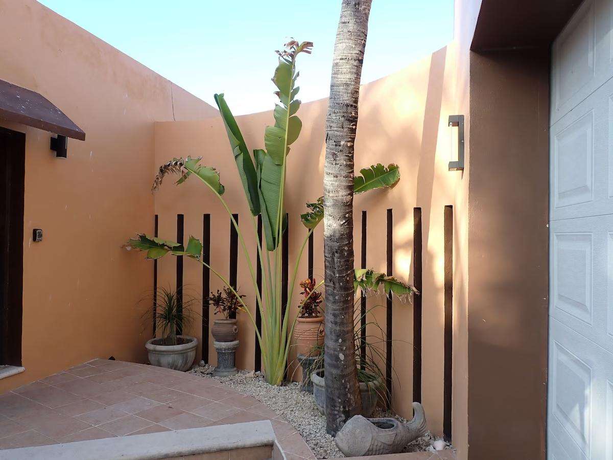 Avance de La Fiesta 2