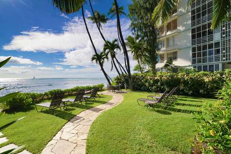 Communal lawn area with sun loungers