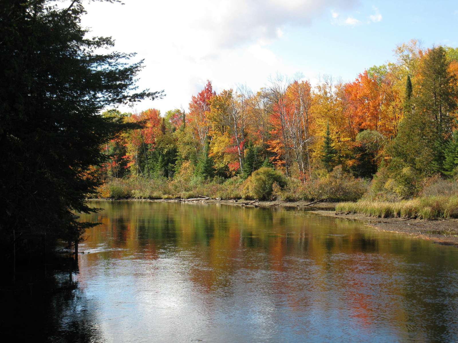 View of the River