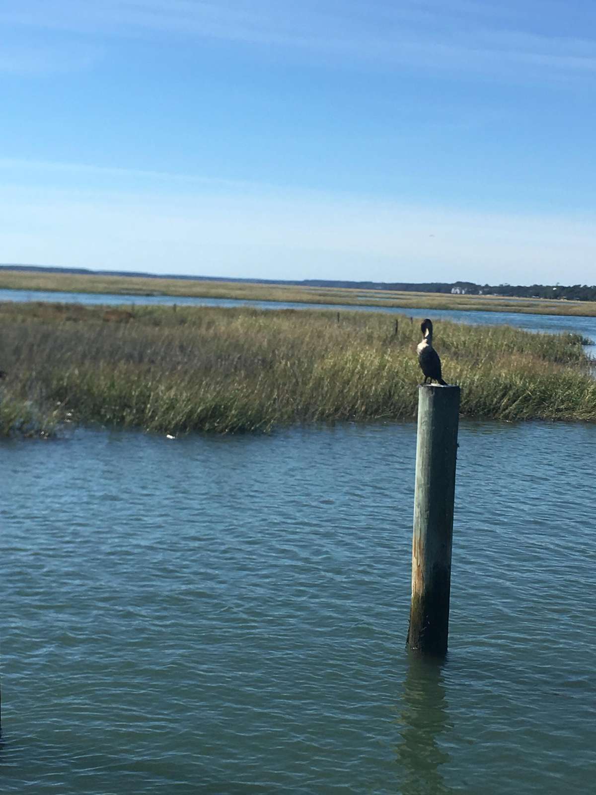 Marshwalk Murrells Inlet