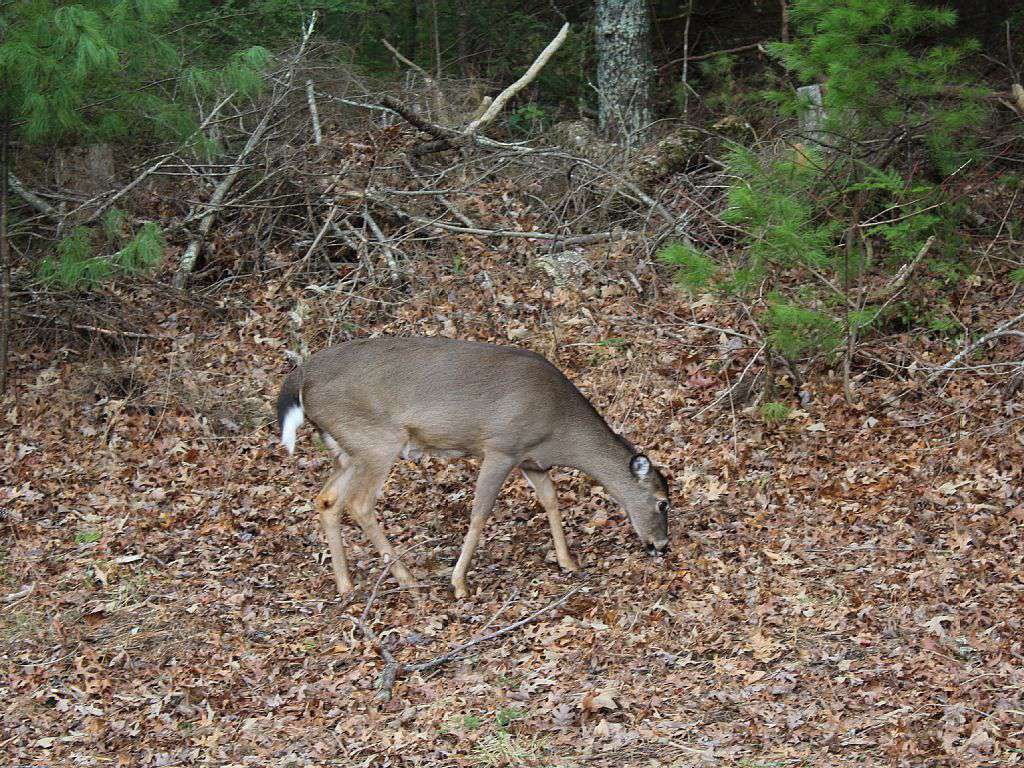 One of Our Locals