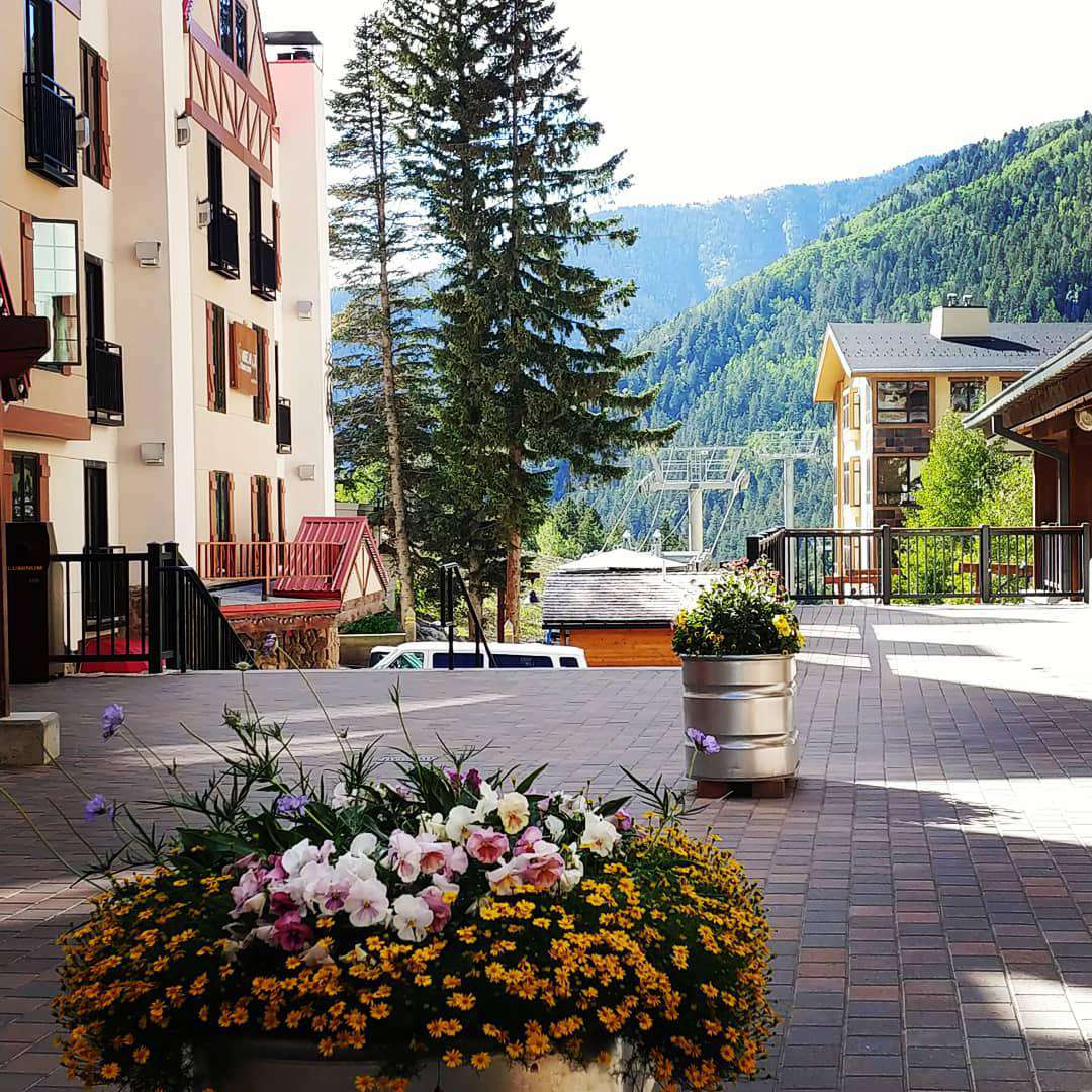 Around the Village Plaza - short walk from our condo