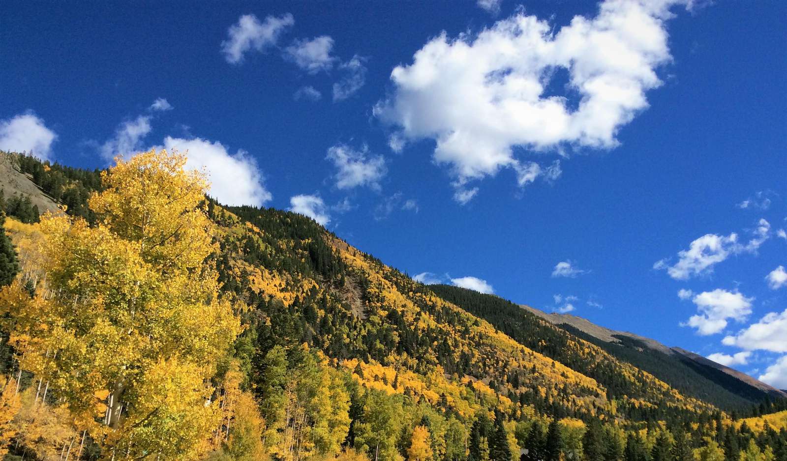 Fall Views from our condo