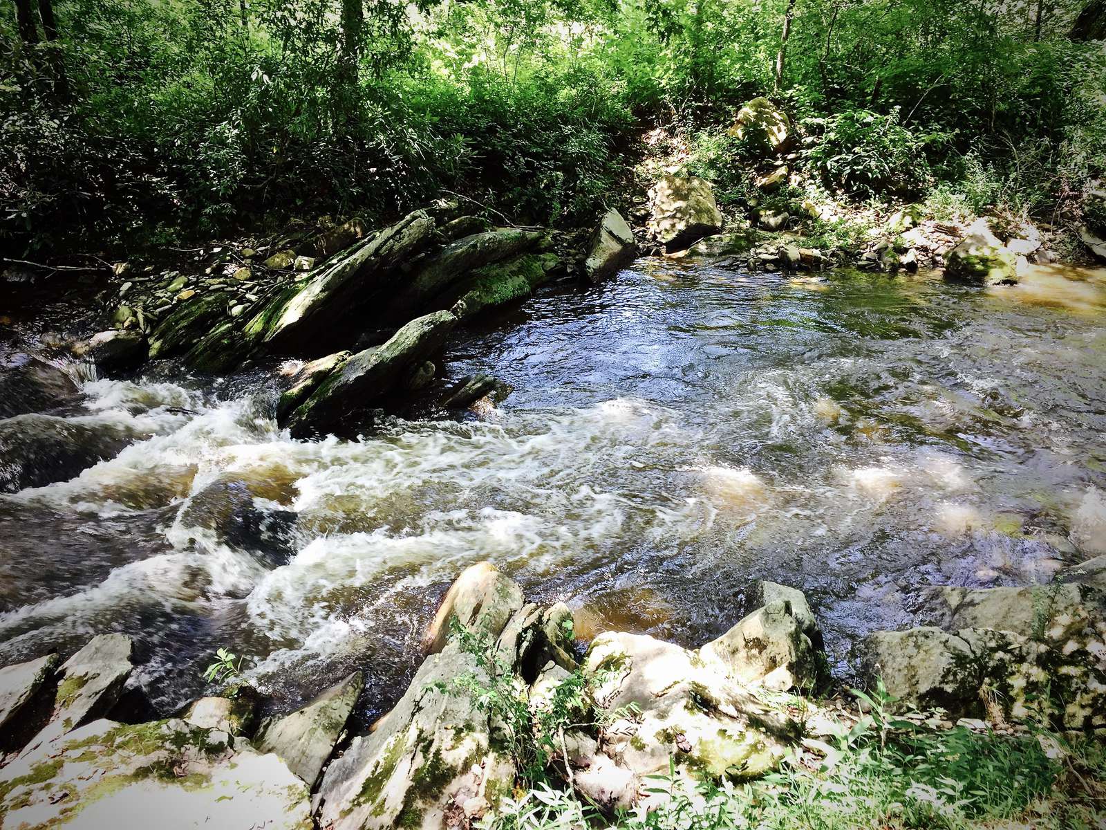 Trout Stocked and Hatchery Supported, Alarka Creek