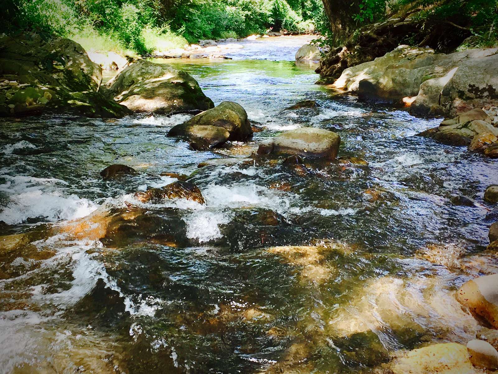 Alarka Creek is Crystal Clear! The ideal "Catch and Eat" Trout Stream...