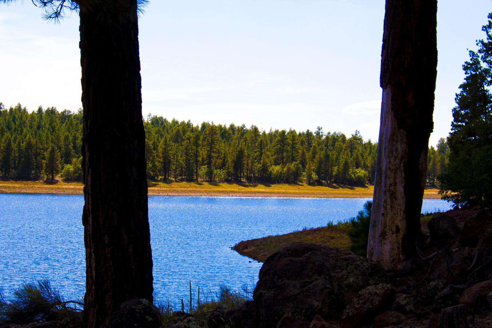 4 Lakes within 15 minutes