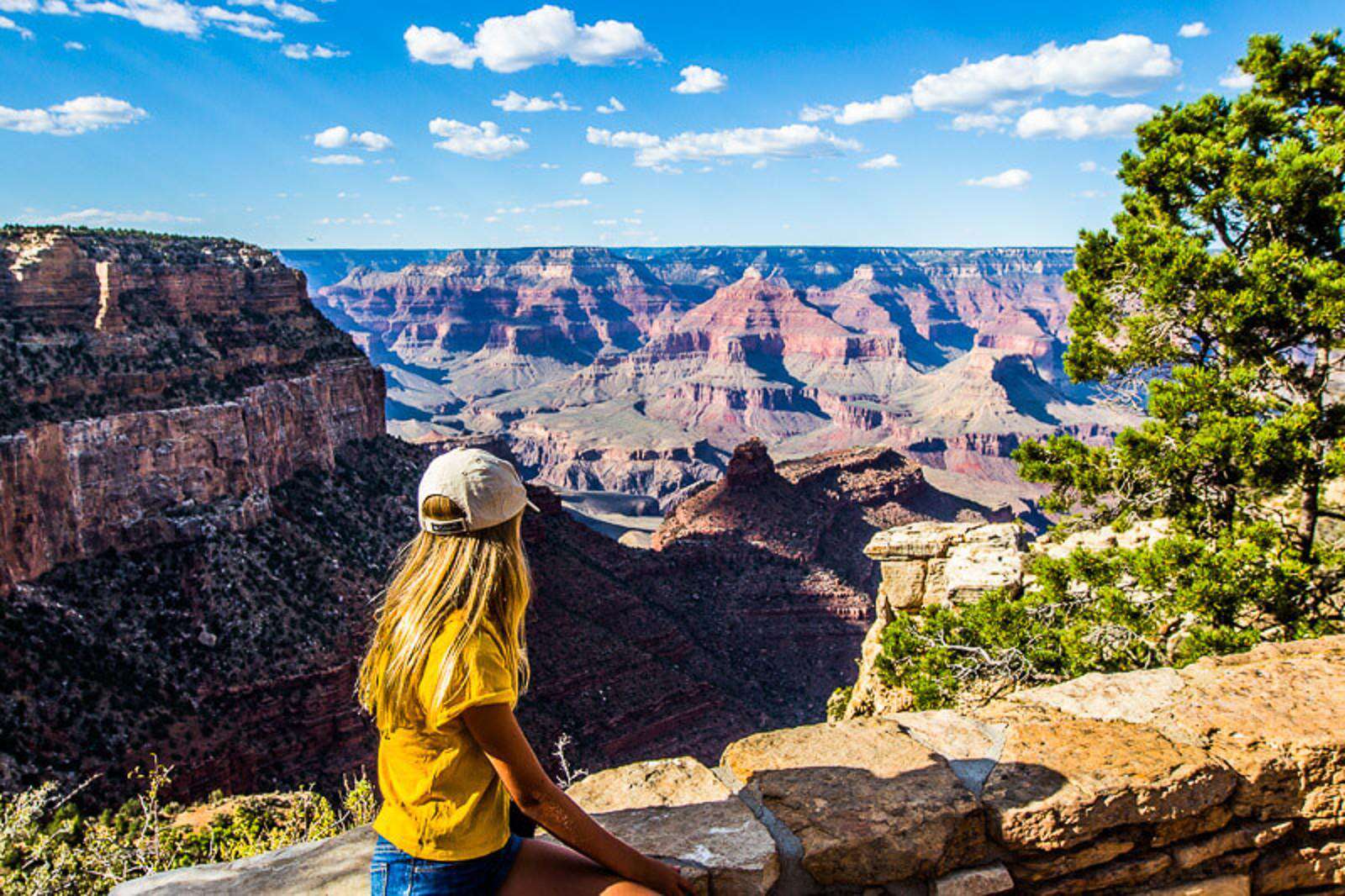 Grand Canyon South Rim over look.