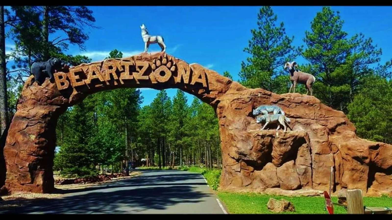 Bearizona is only a few minutes away.