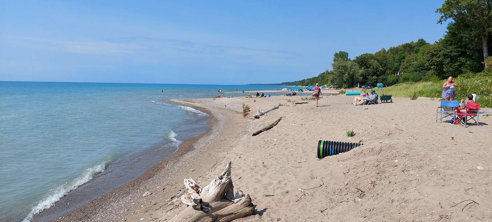 Port Albert's sandy shoreline curves gently with scattered driftwood and visitors relaxing under clear blue skies.