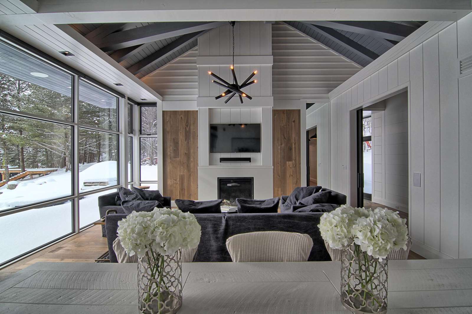 Living Room with TV