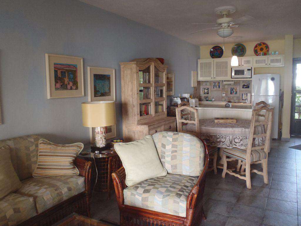 Living room and kitchen