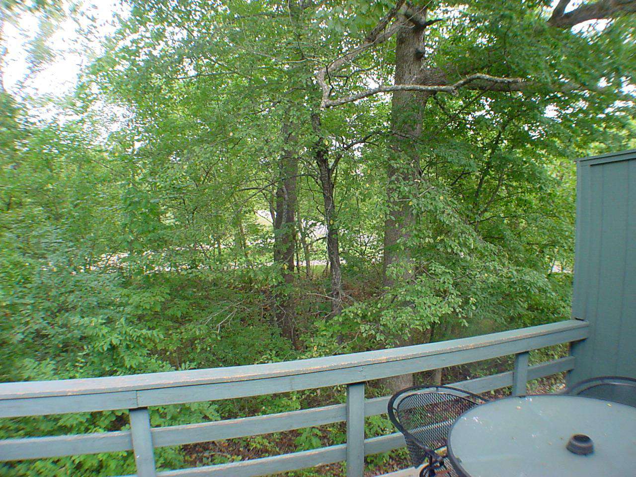 View To Right Of Deck