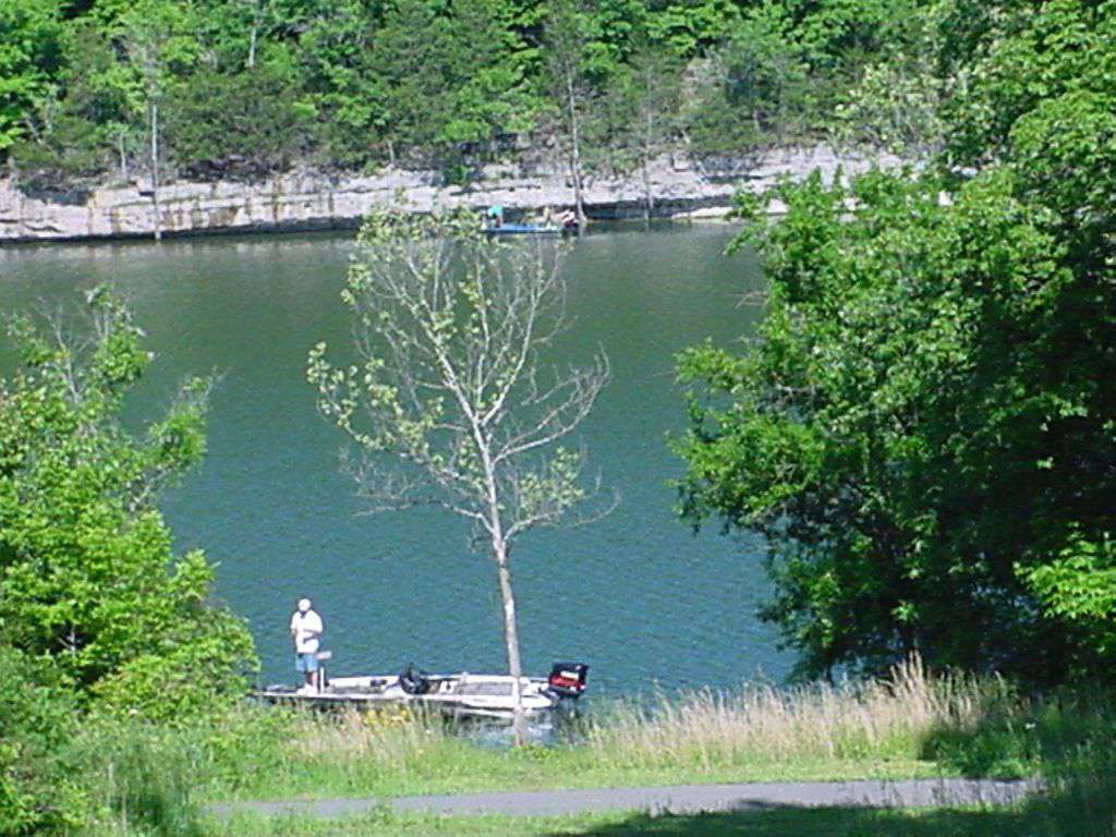 Summertime lake view from the deck.