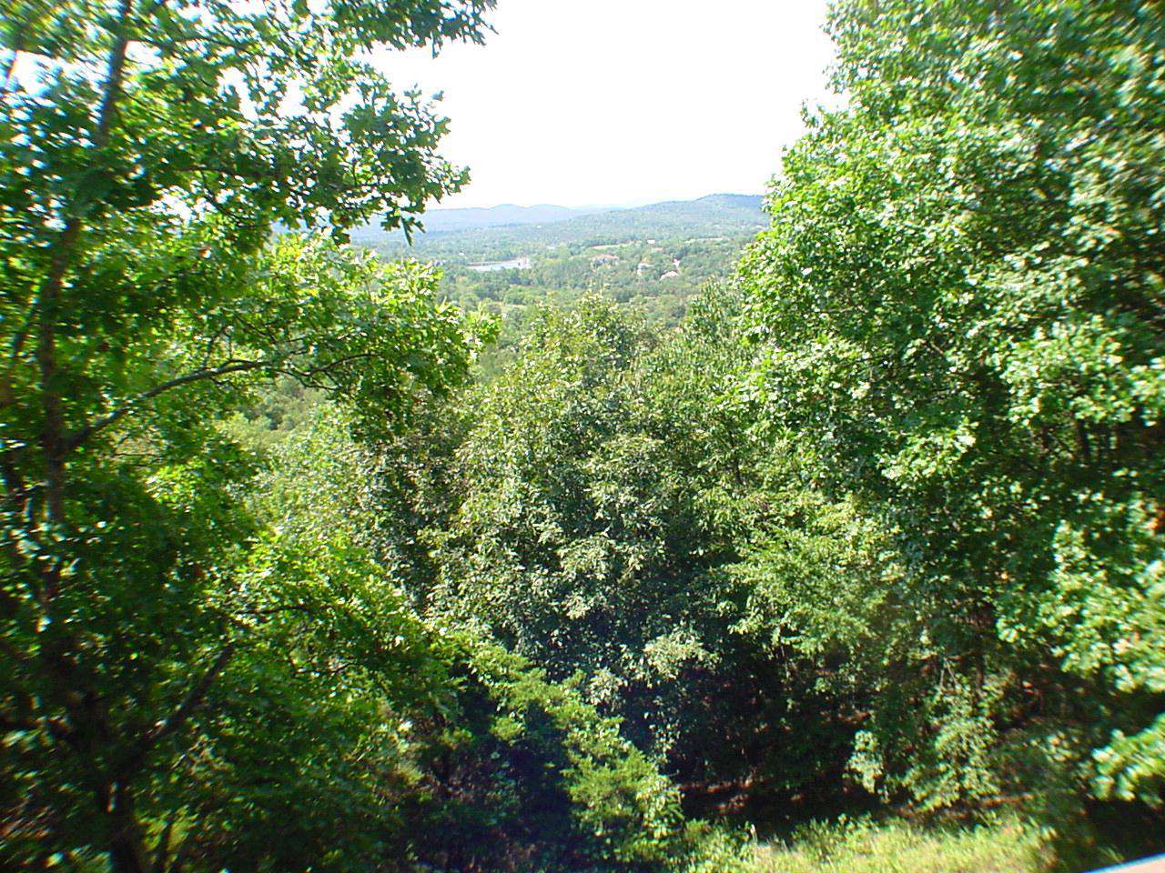 View from deck