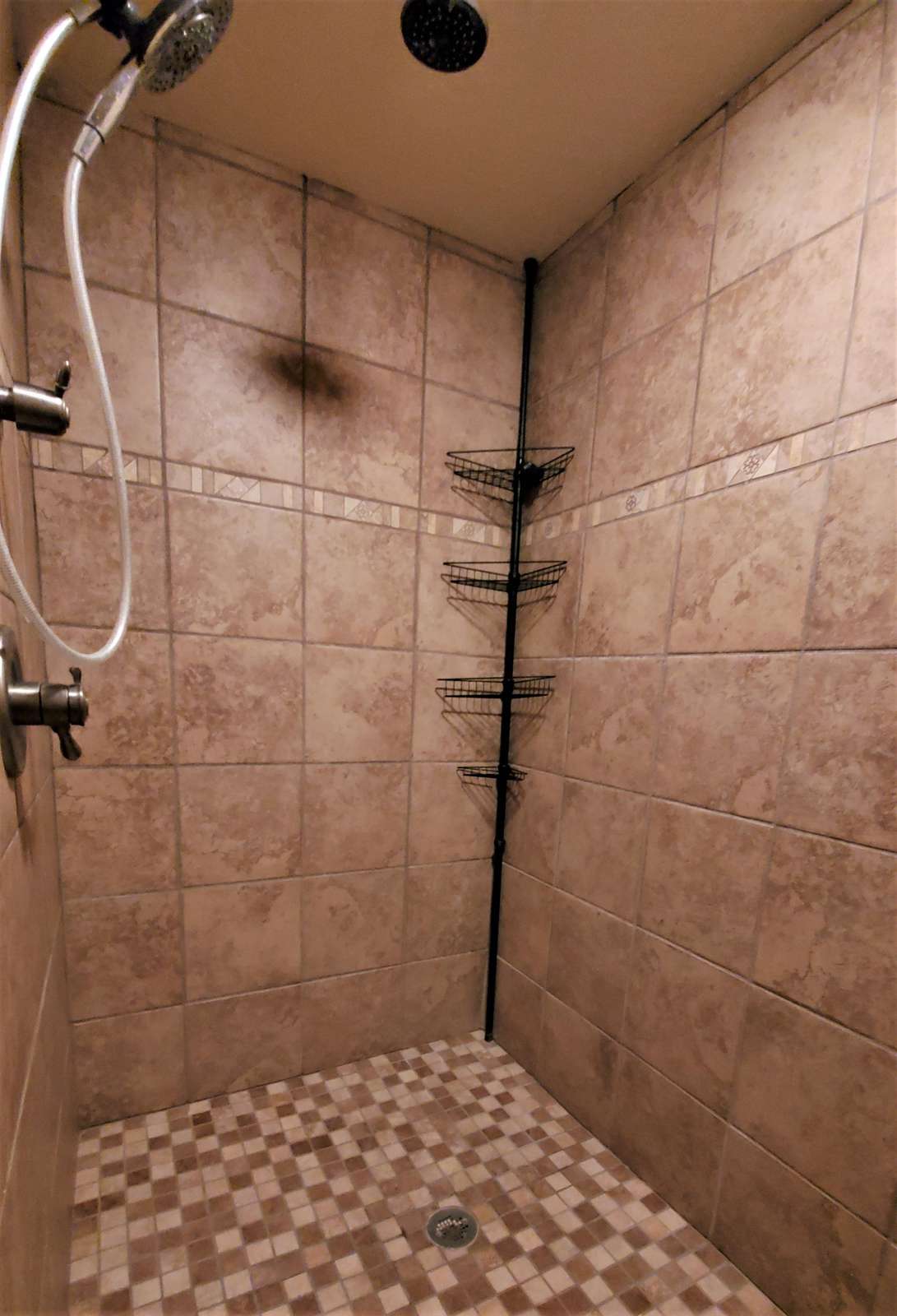 Downstairs Walk in shower