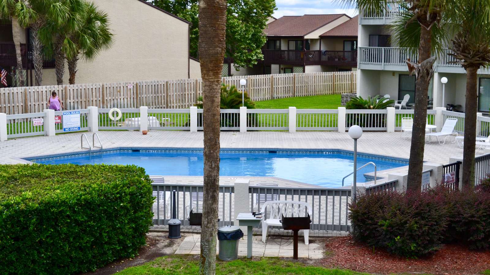 Endless Summer C11 - property
