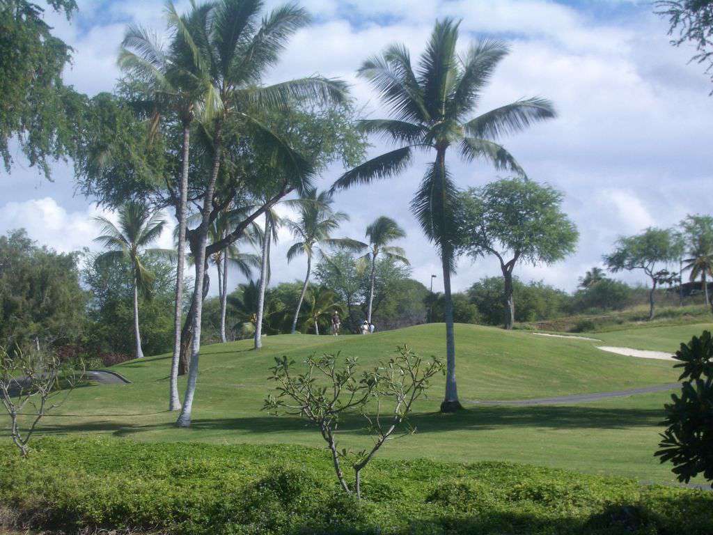 The Keauhou Golf course is OPEN!!!