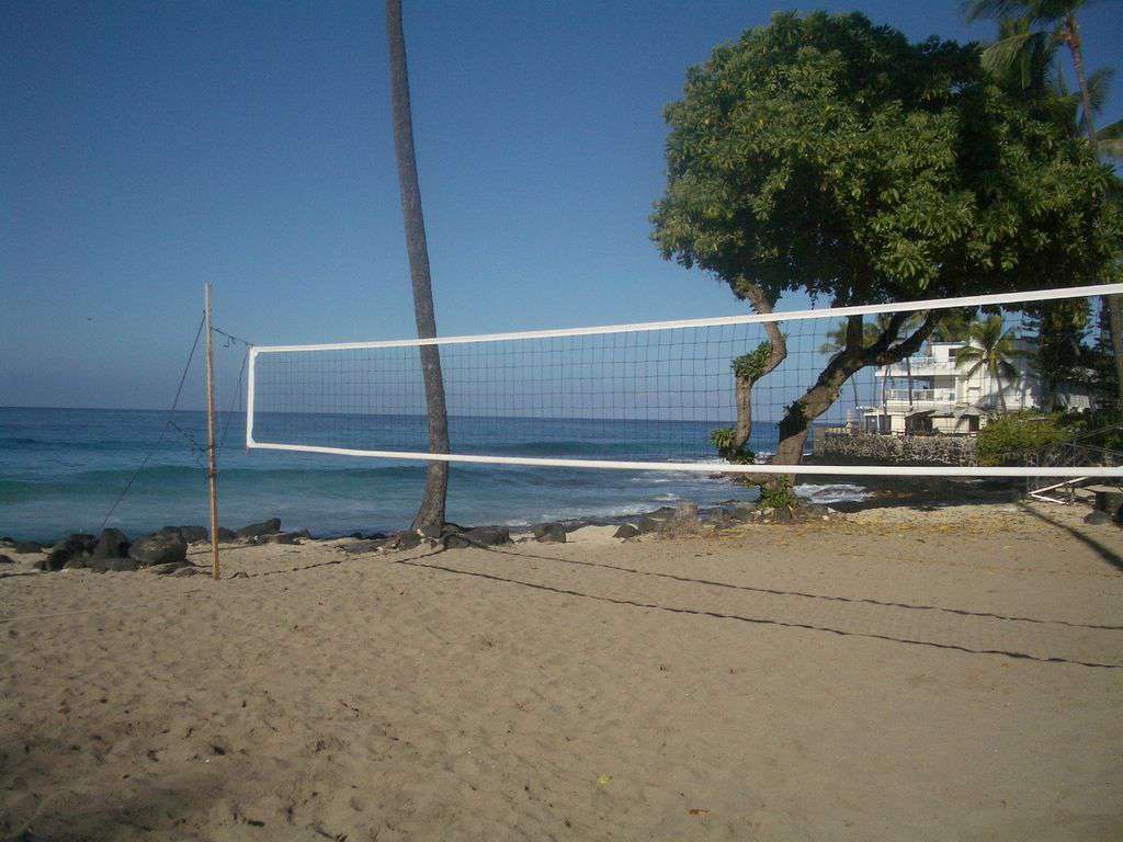 Enjoy some beach volleyball at La Aloa Beach Park.