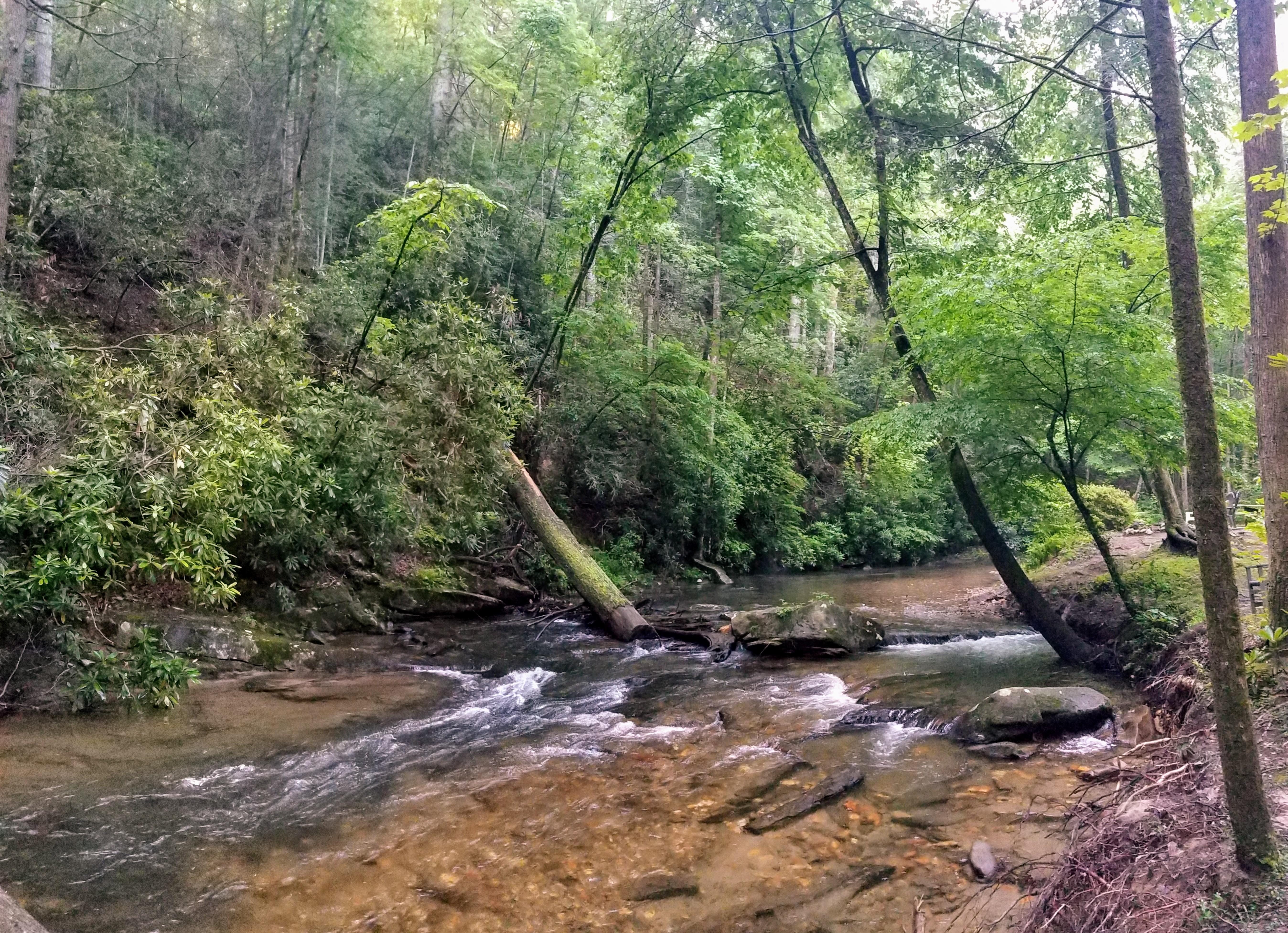Creeksong