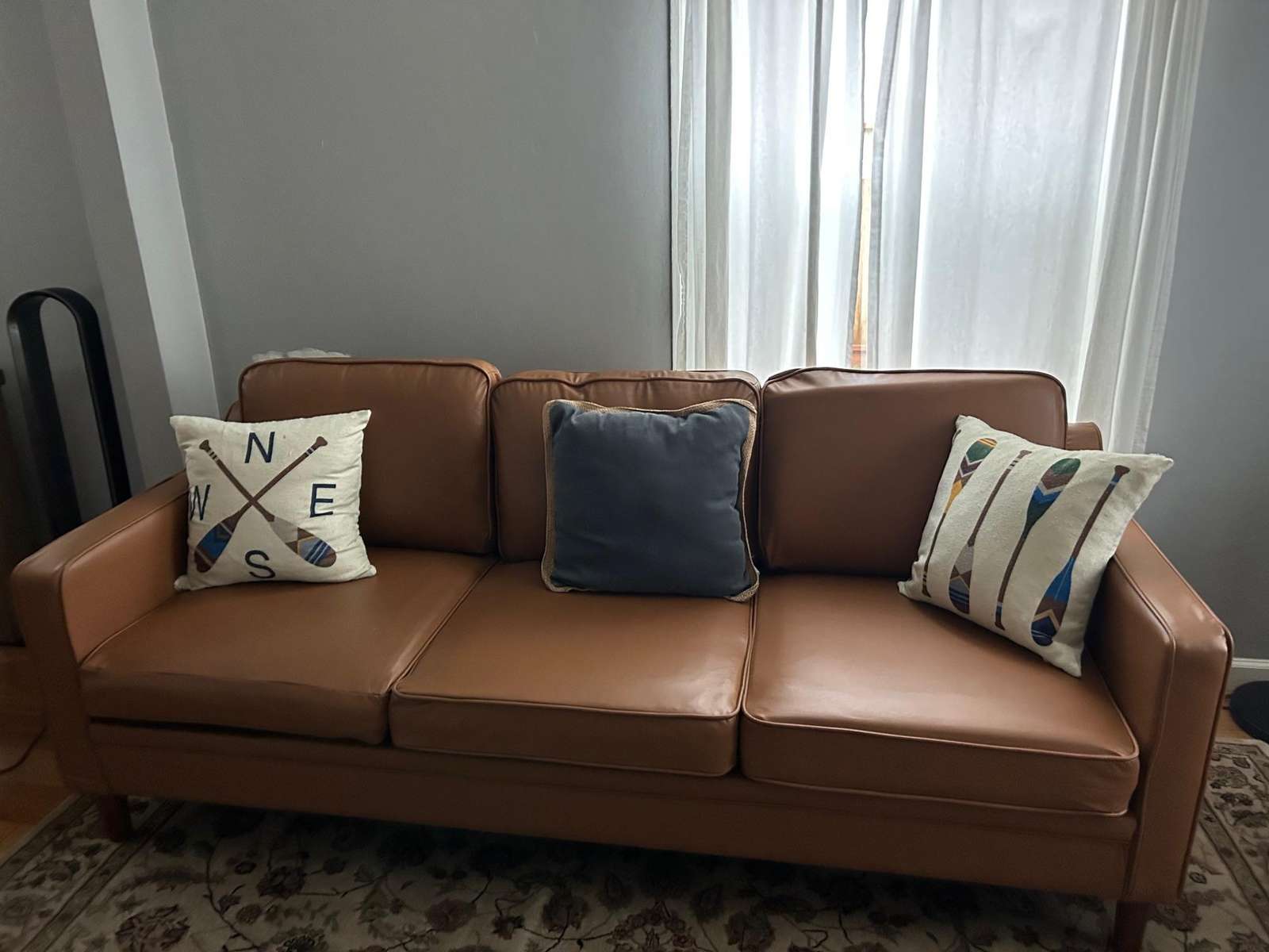 Cozy living room with sleek leather sofa and natural light